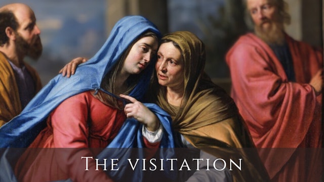 visitation of the blessed virgin mary