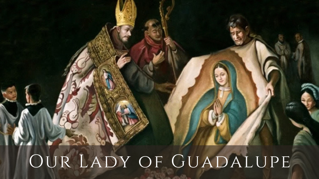 The Story of Our Lady of Guadalupe