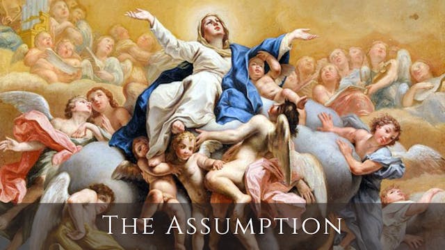 Assumption of the Blessed Virgin Mary