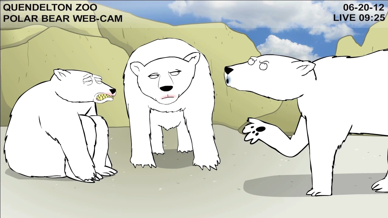 Teen Polar Bear Cam