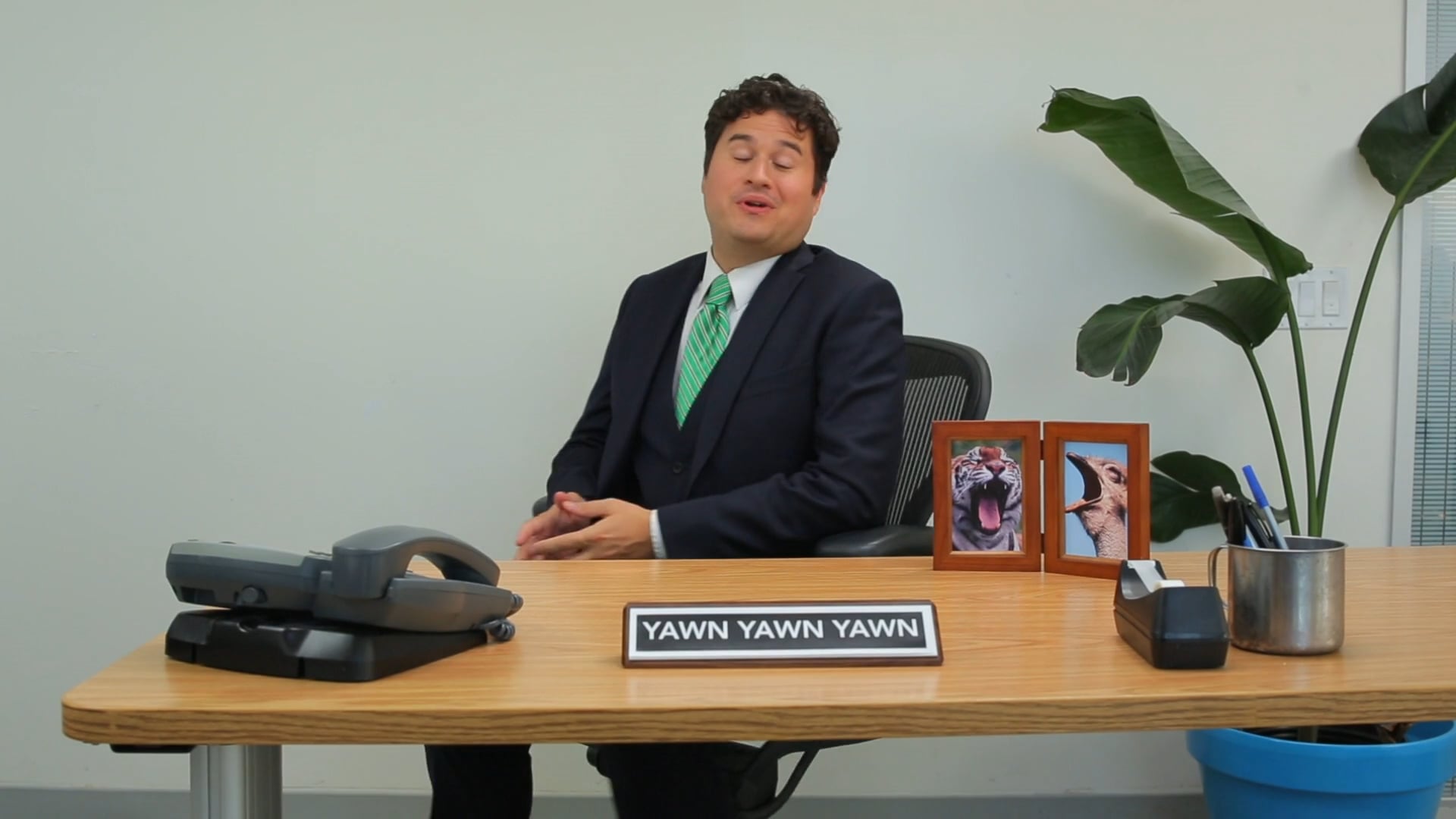 We Challenge You Not To Yawn