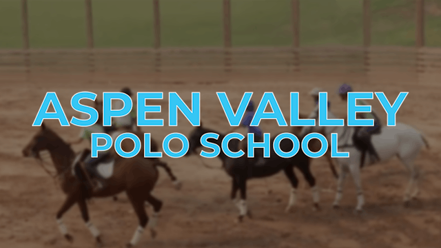 Polo School Arena Polo