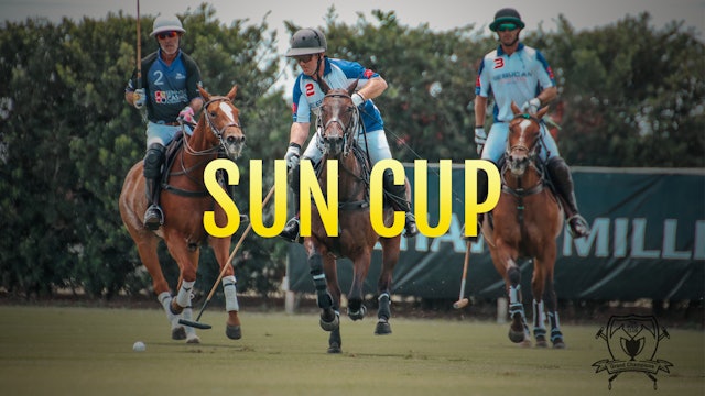 The Sun Cup