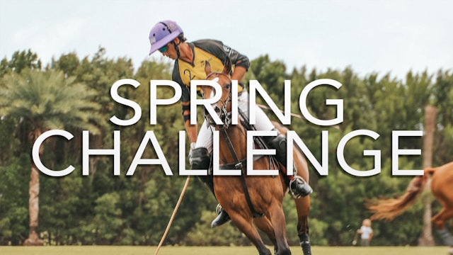 The Spring Challenge Cup