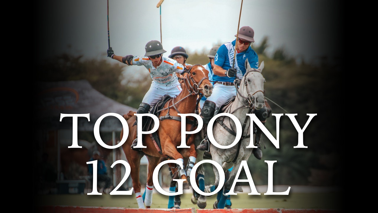 Top Pony 12 Goal