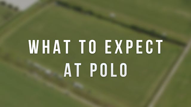 What to expect at polo