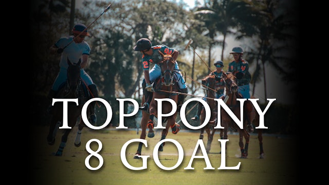 Top Pony 8 Goal
