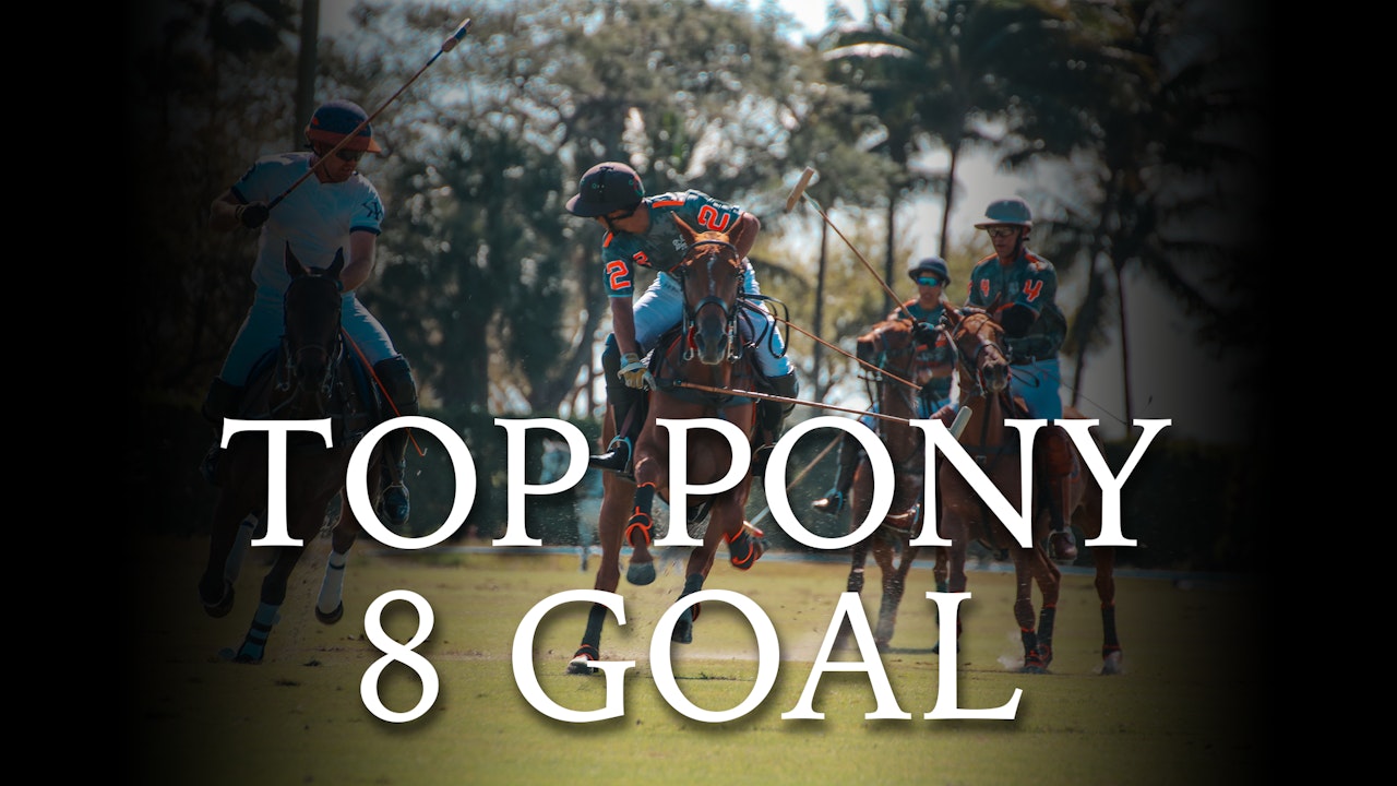 Top Pony 8 Goal