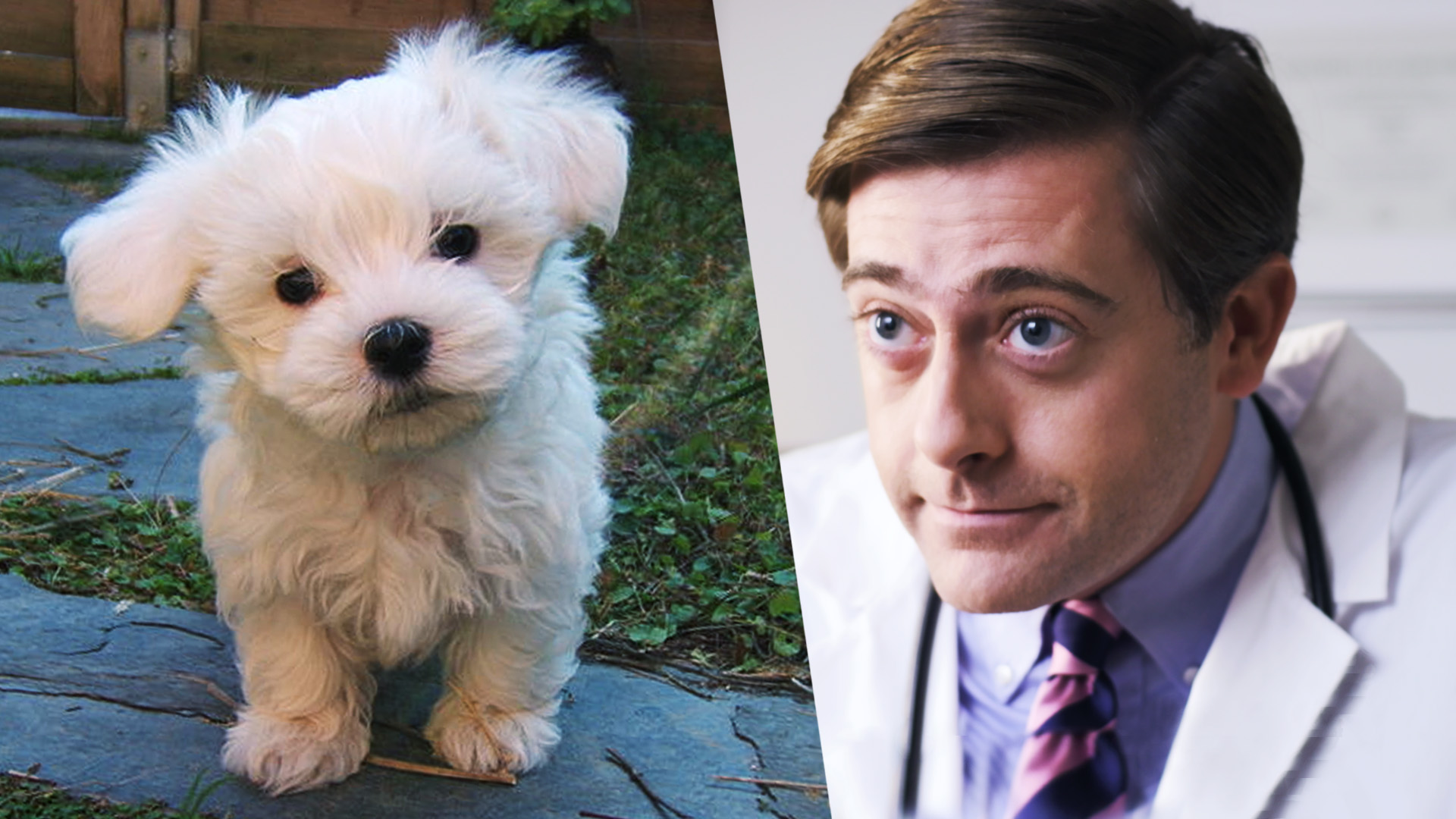 Dogs Are Practice Babies