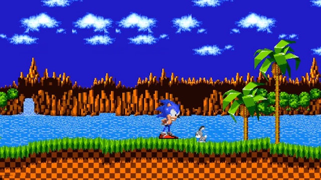 Sonic Frees the Forest Animals