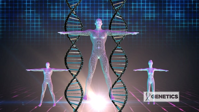 Genetics: The Secret to a Perfect Body