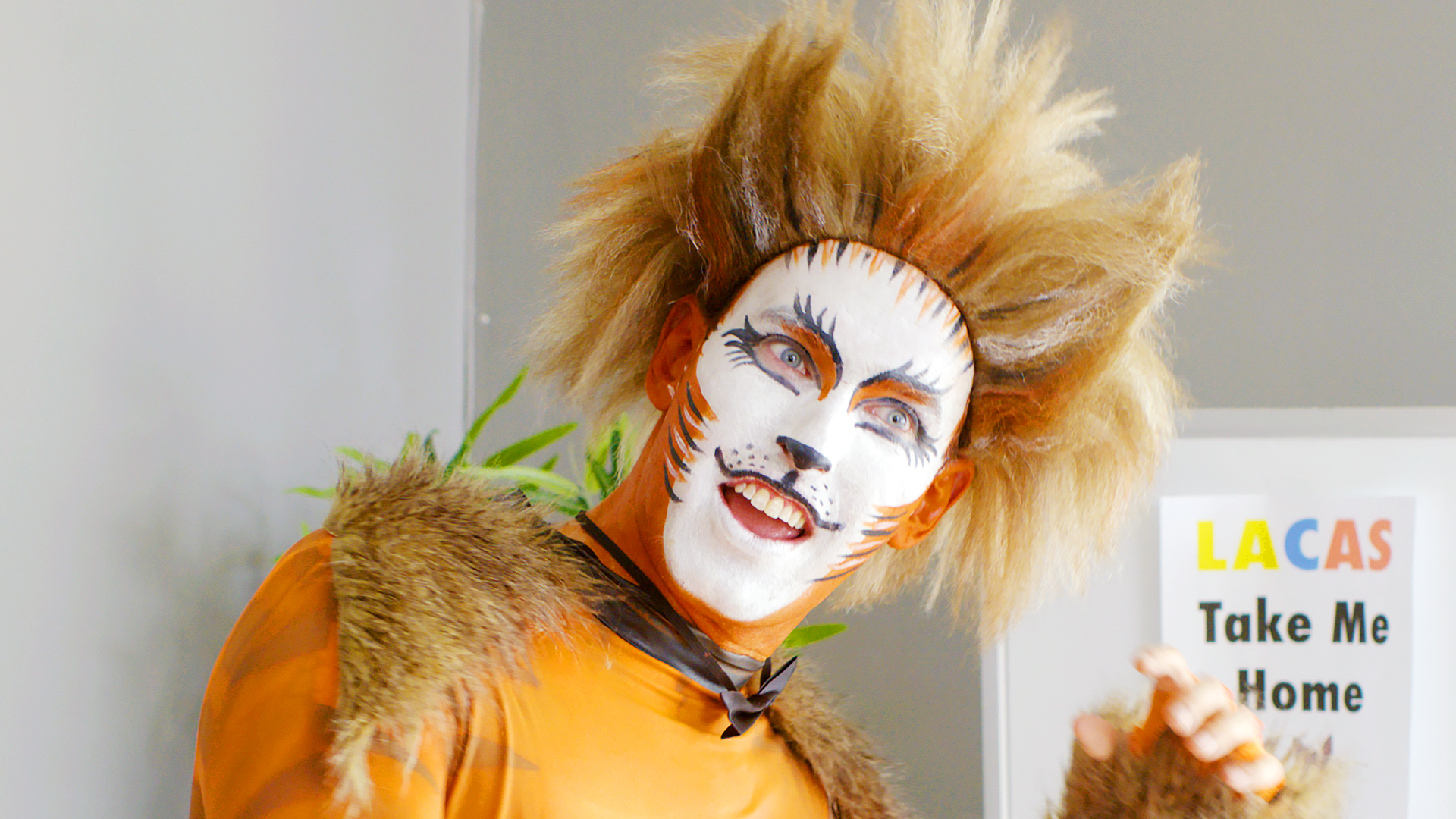 Adopting a Jellicle Cat