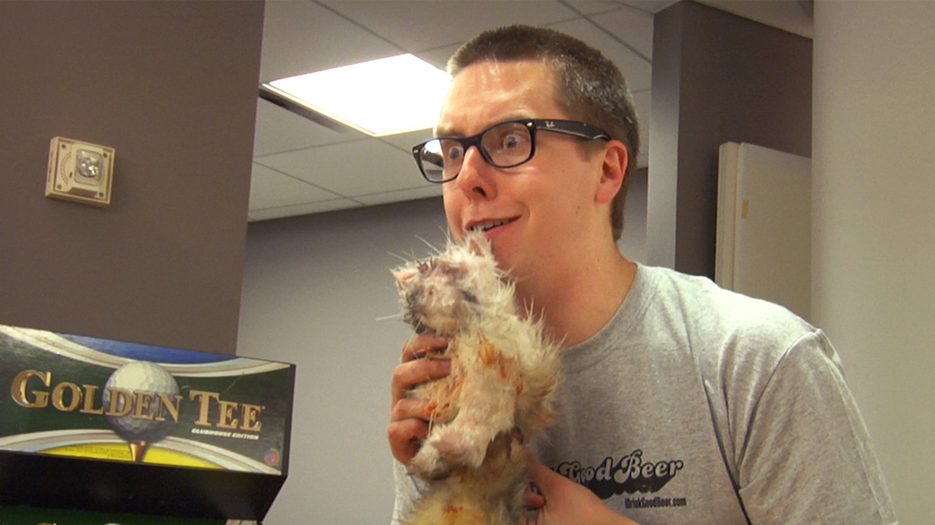 CatDog (All-Nighter 2012)