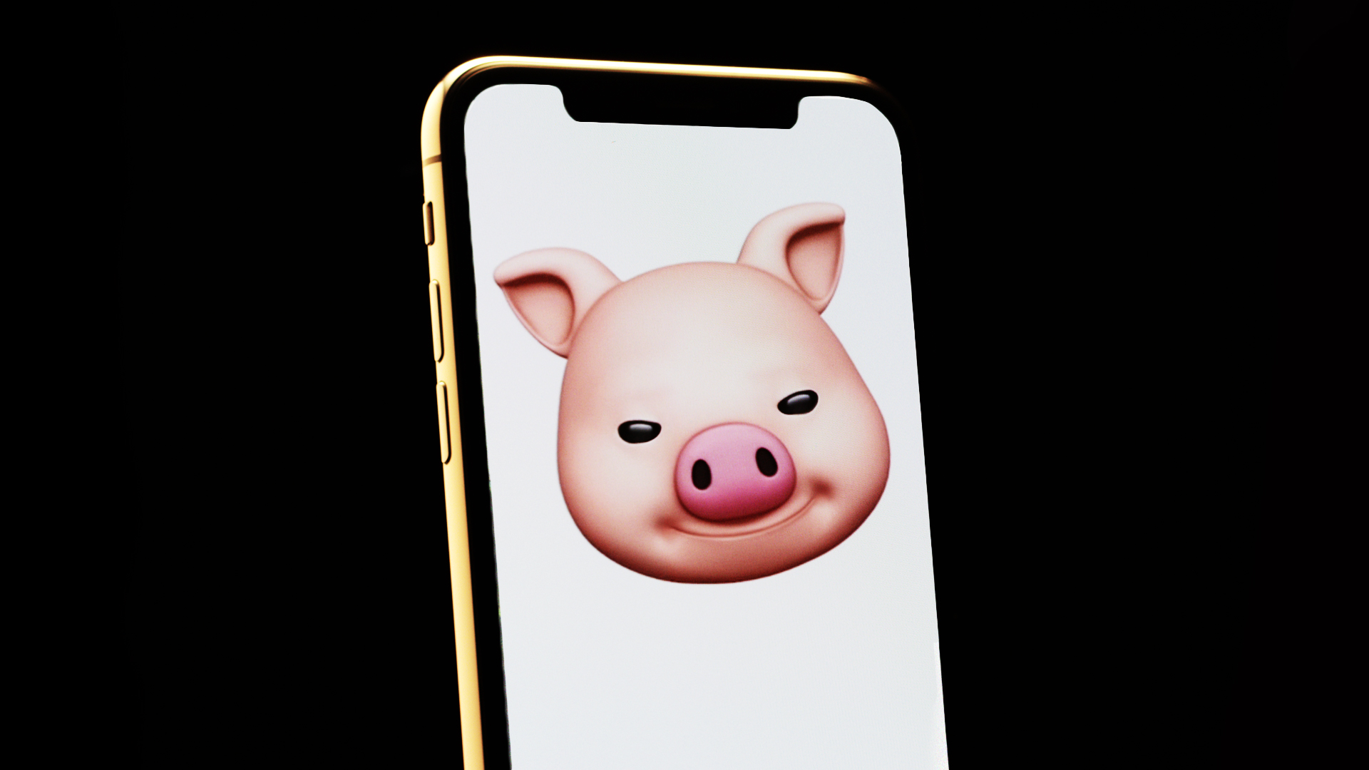 Shut Up and Buy This iPhone