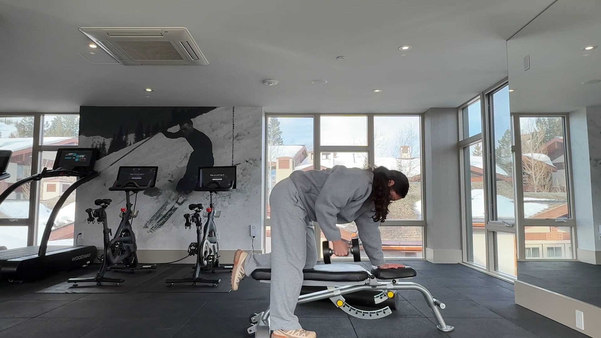 Single Arm Rows