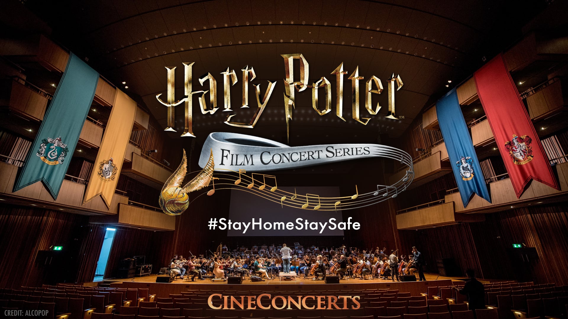 #StayHomeStaySafe HPFCS Tribute!