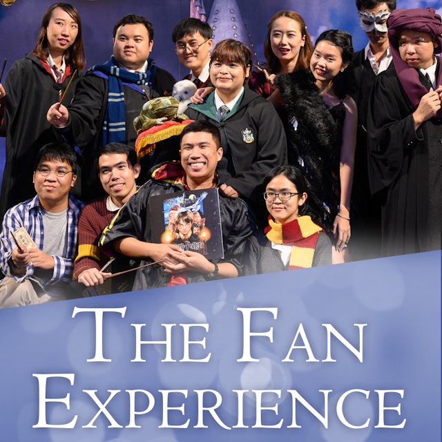 The Fan Experience
