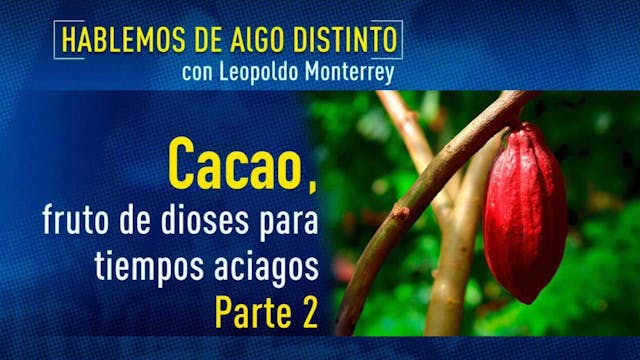 Hablemos de algo distinto: Cacao, fru...