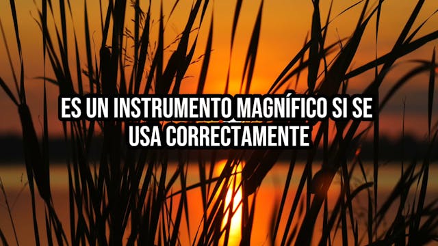 Fonolibro: La Mente