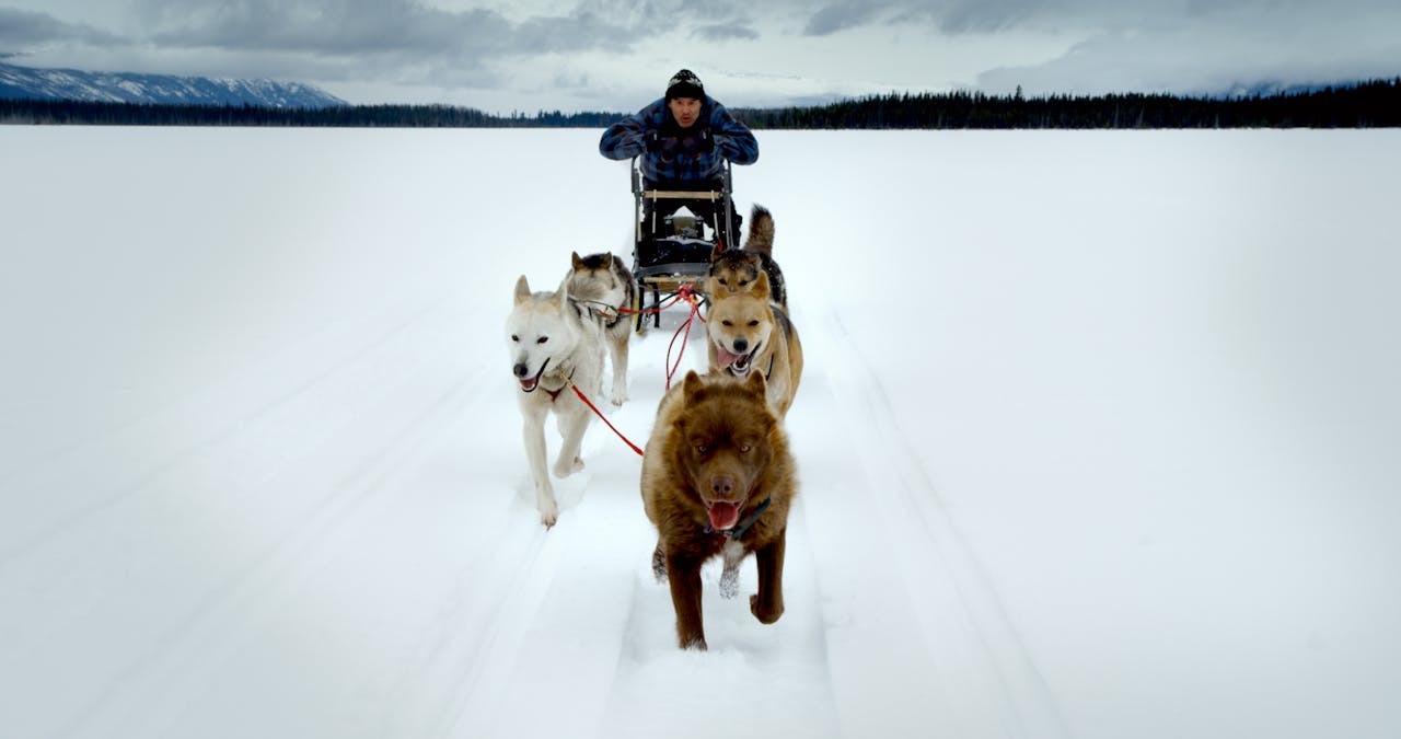 KONELĪNE: Our Land Beautiful