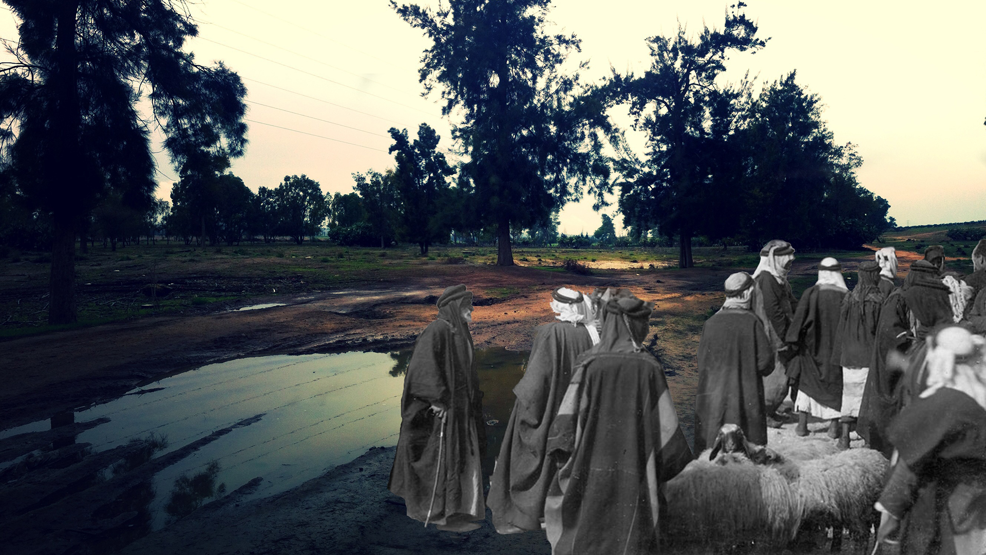 On the Side of the Road