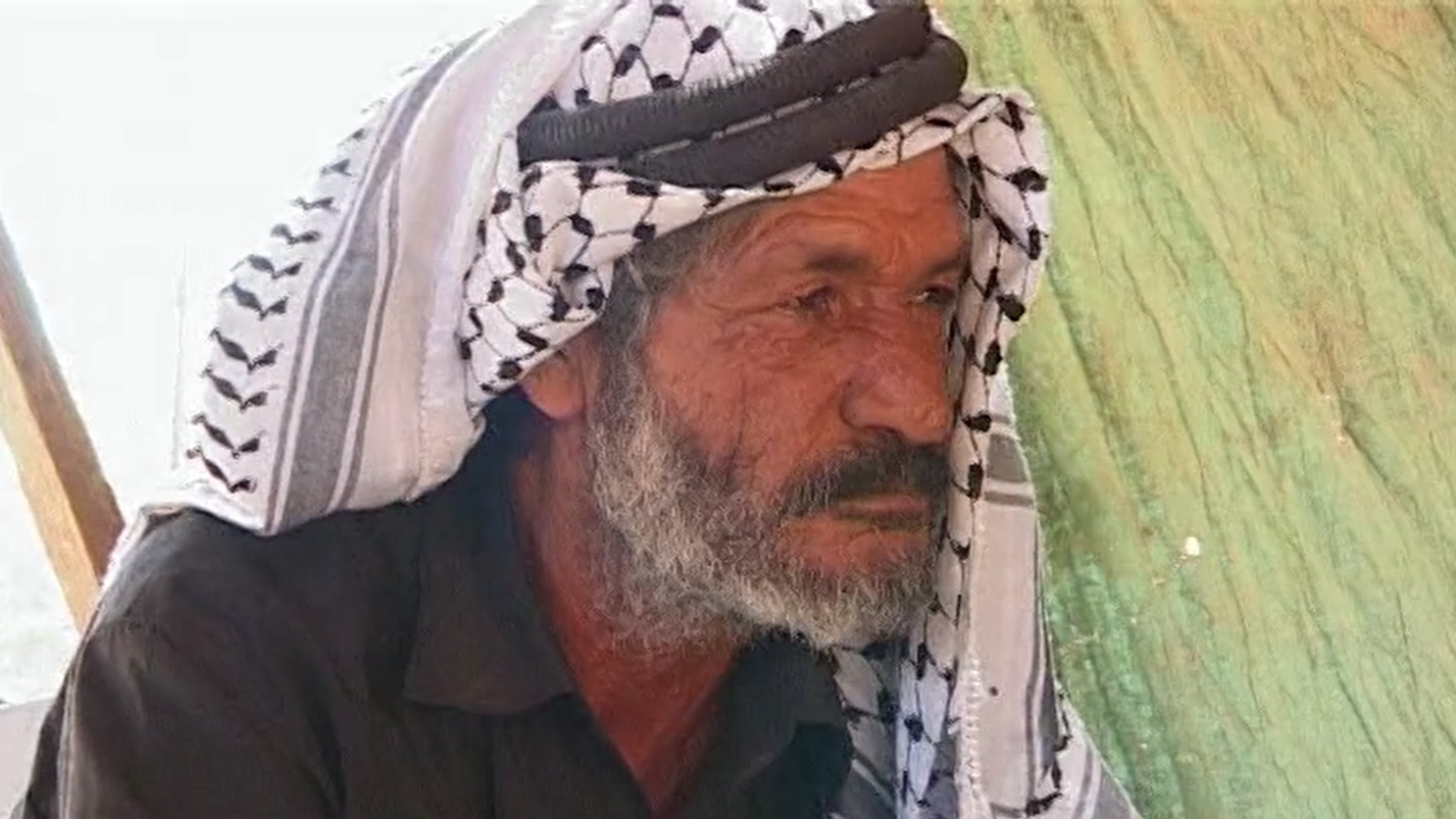 This Palestinian Life