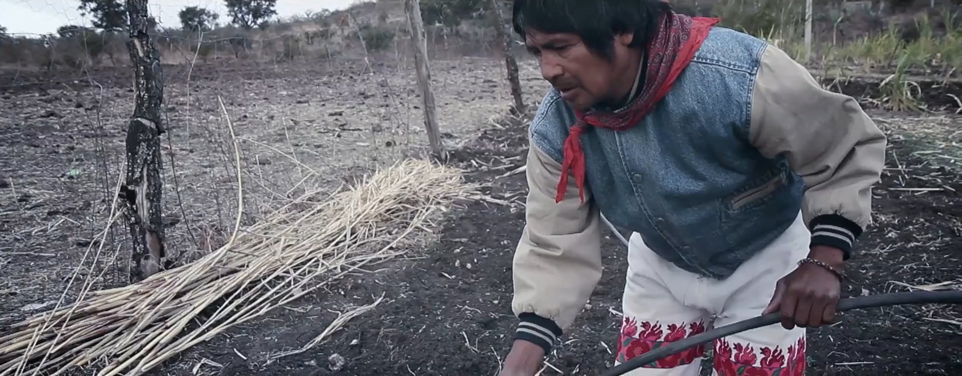 Huicholes: The Last Peyote Guardians