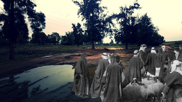 On the Side of the Road