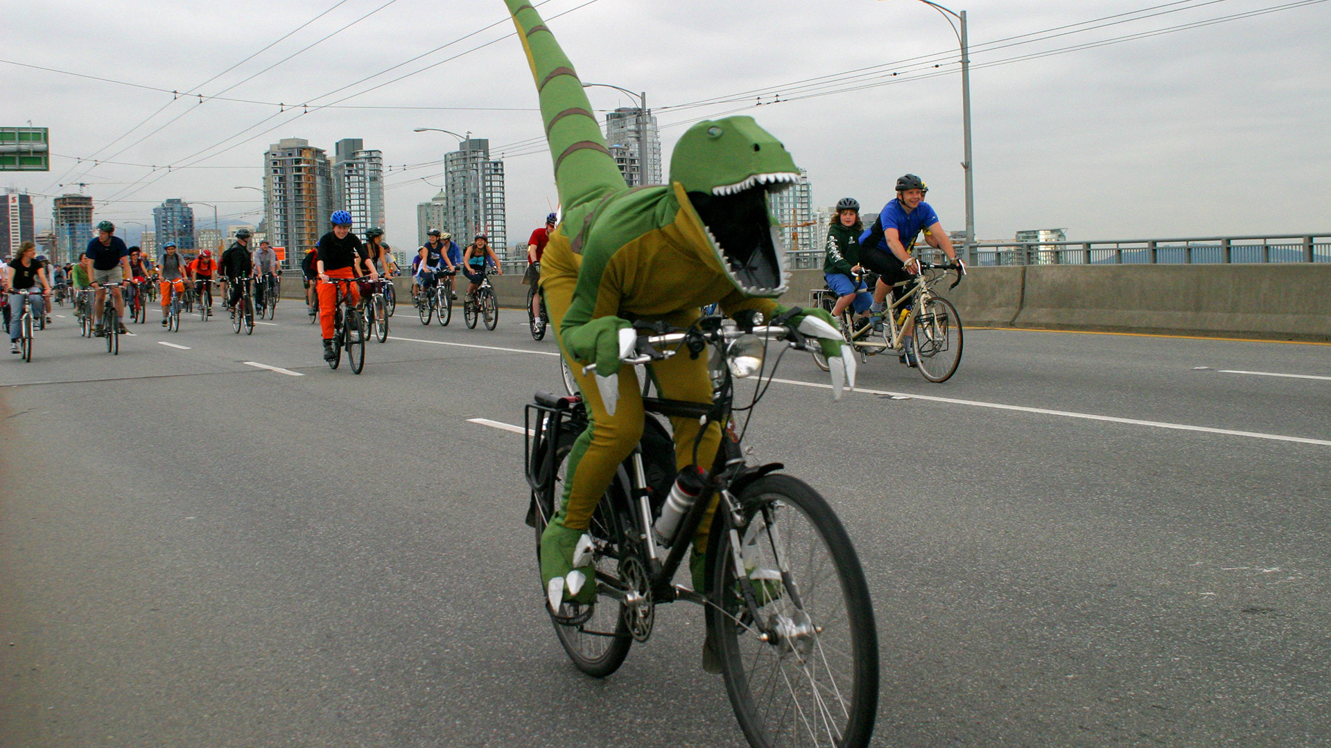 You Never Bike Alone