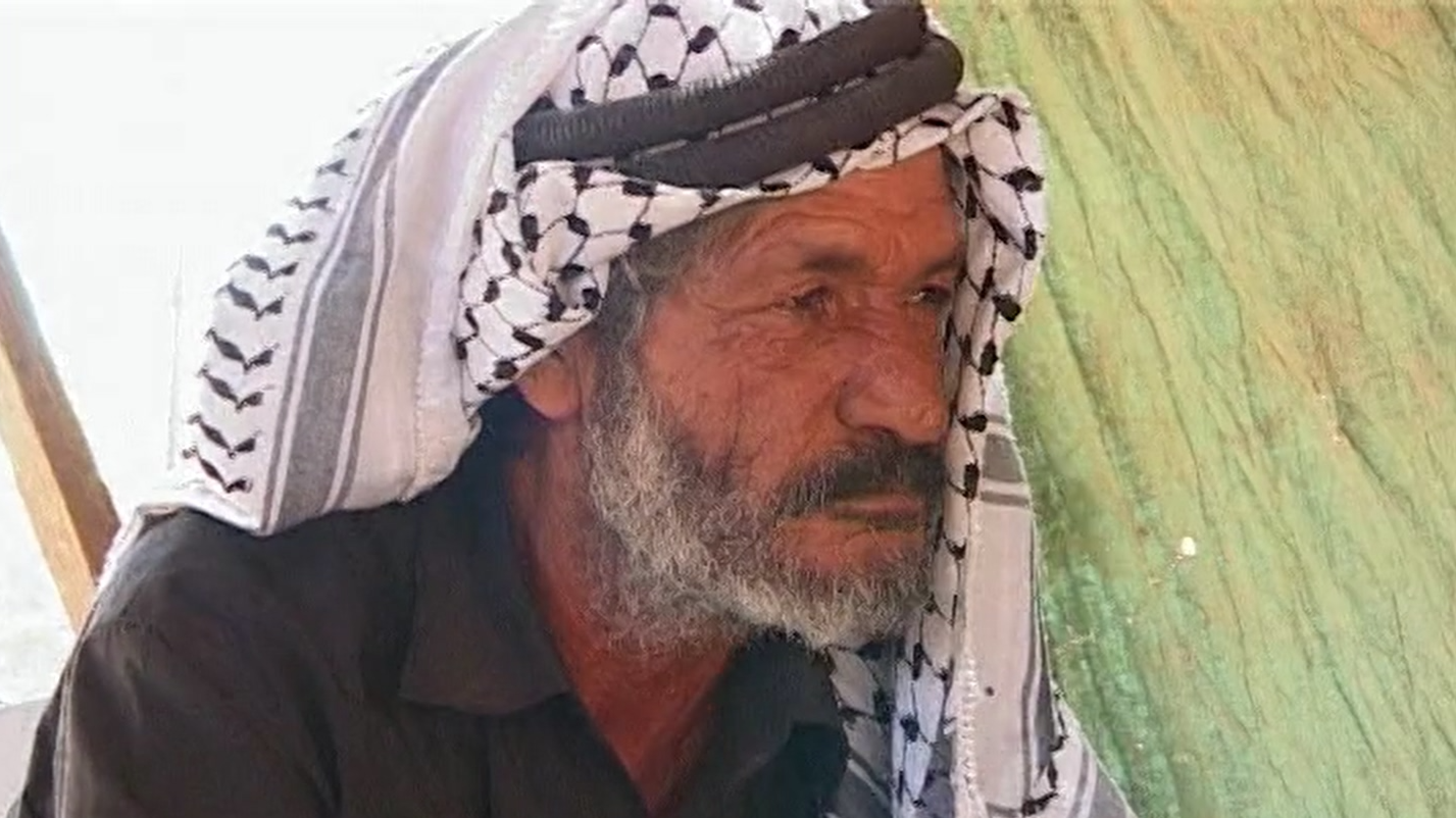 This Palestinian Life