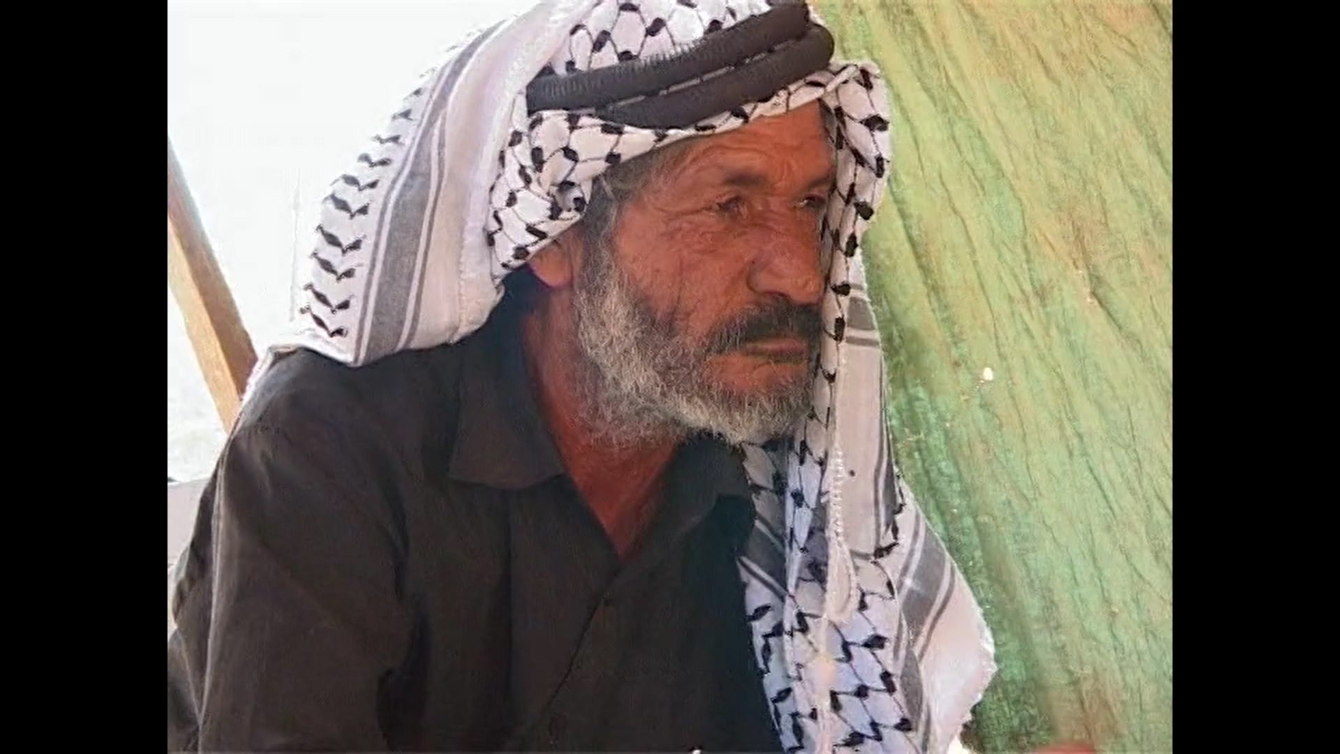 This Palestinian Life
