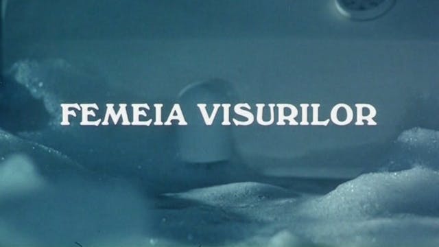 The Women in the Dream [Femeia Visuri...