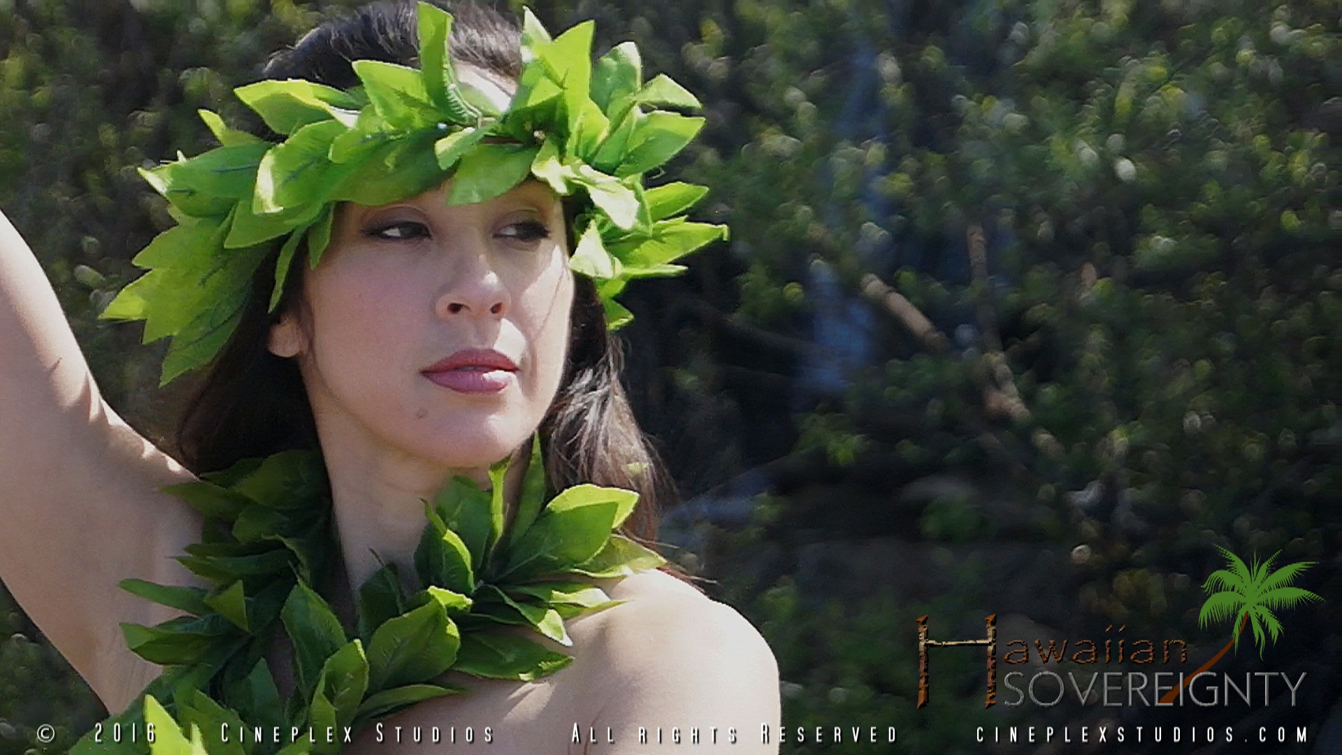 Hawaiian Sovereignty