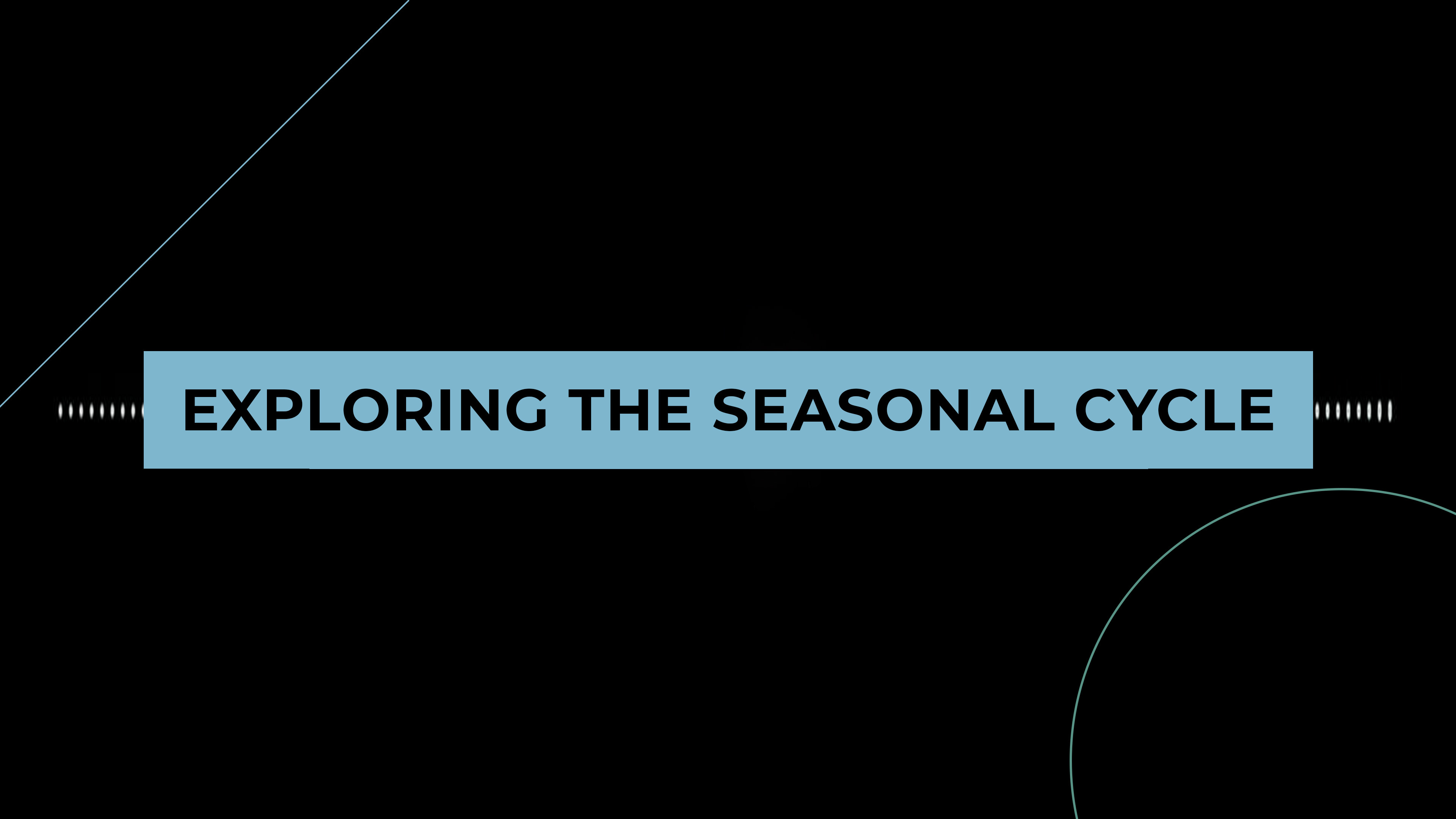 Coffee + Philosophy: Exploring the Seasonal Cycle with Kacee