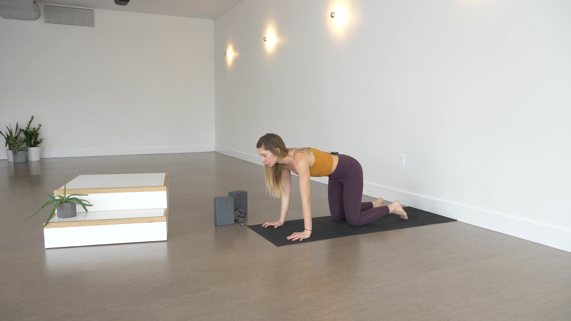 Day 2: Handstand Shoulder Engagement with Alice