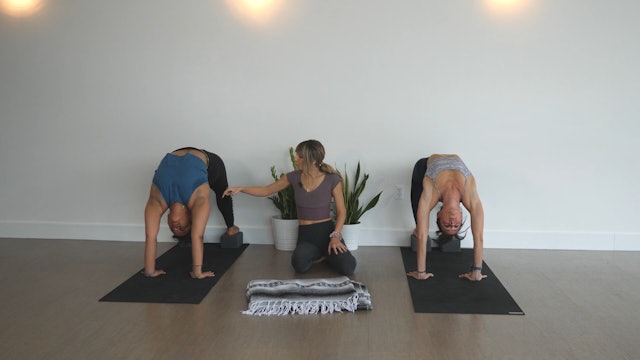 Blend: Backbends on the Wall with Kacee