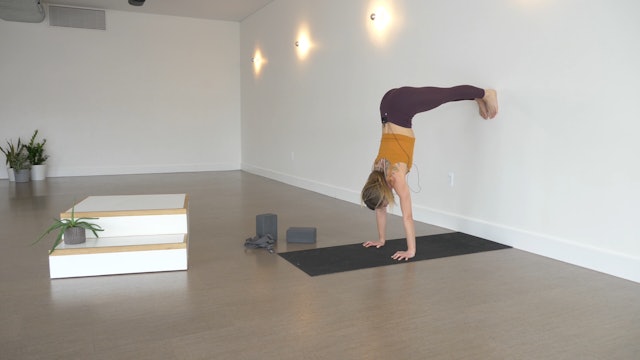 Pose Breakdown: Handstand Arm Engagement with Alice