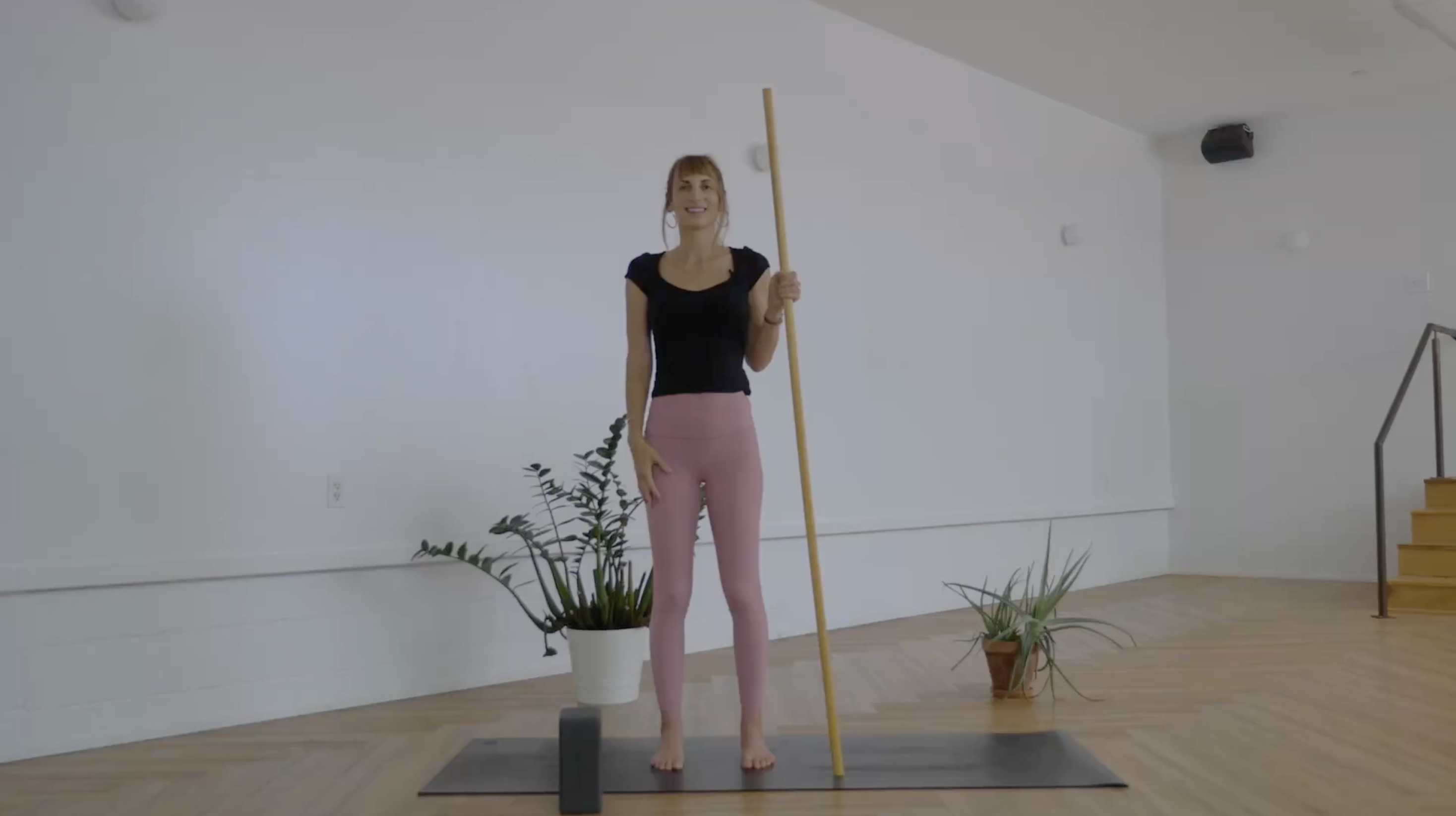 Pole Series for Neck and Shoulders with Kacee