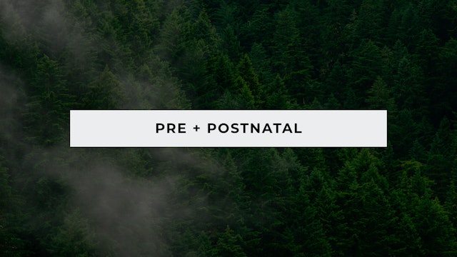 Pre + Postnatal