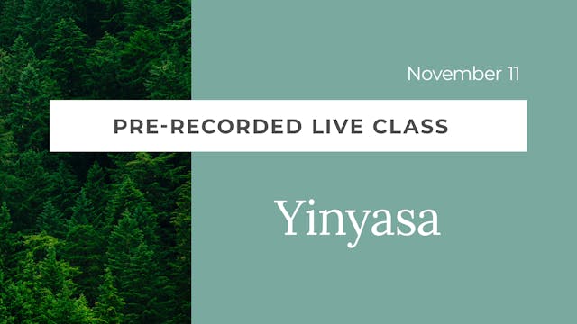 Pre-Recorded Yinyasa with Kacee