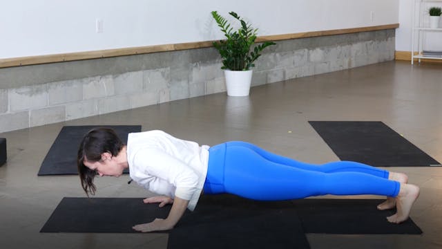 Pose Breakdown: Chaturanga with Ann 