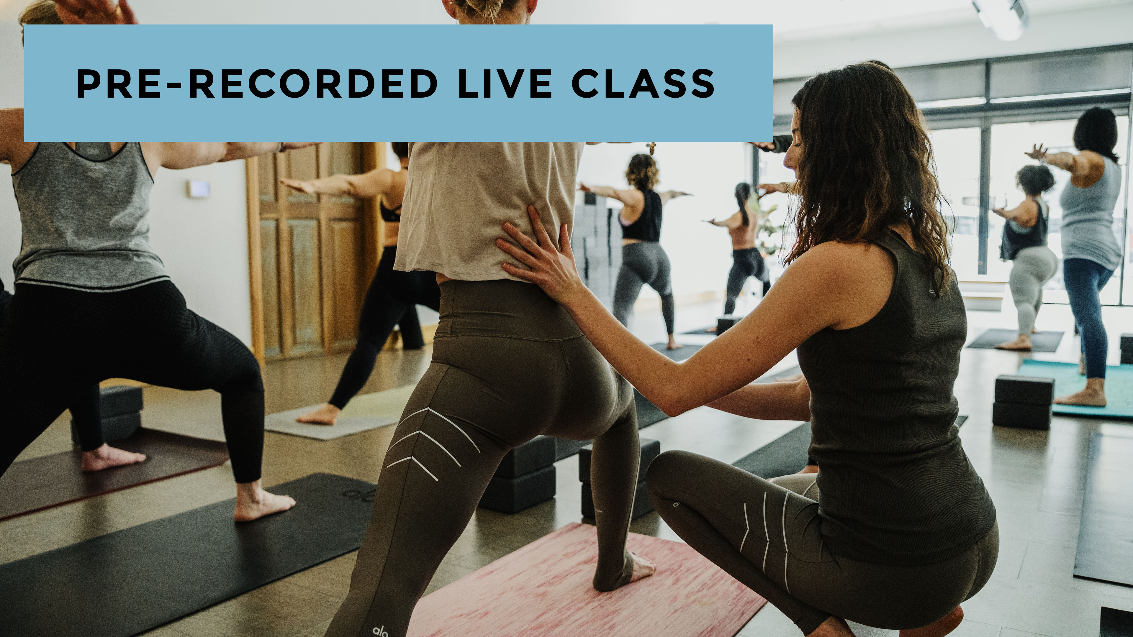 Blend: Back of the Body with Kacee