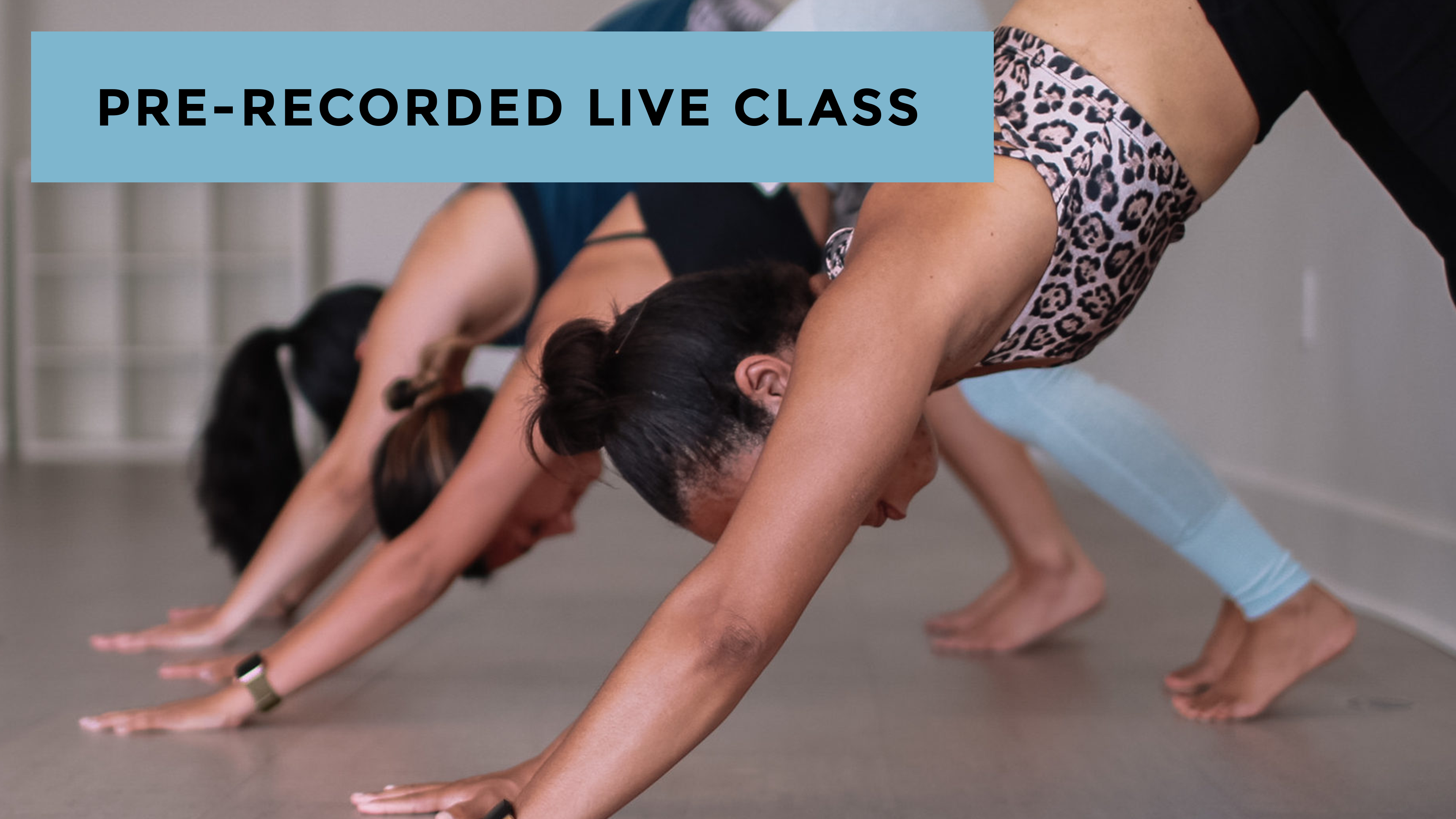 Blend: The Lung Meridian with Kacee