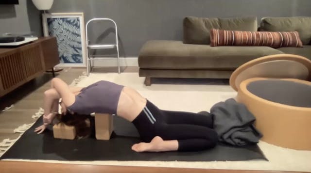 Home Practice 4: Pacifying the Mind