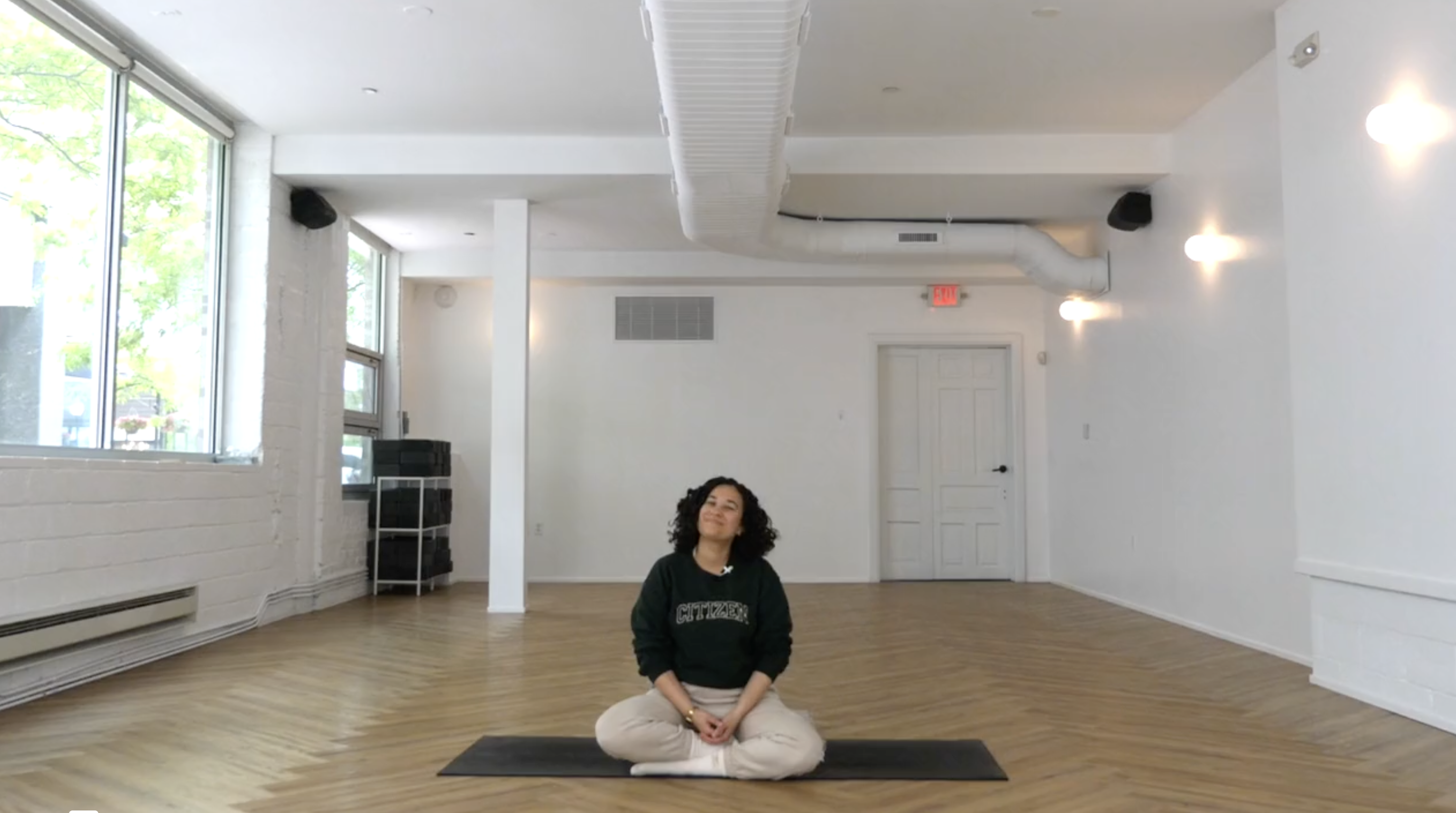 20 Minute Yoga Nidra with Najee