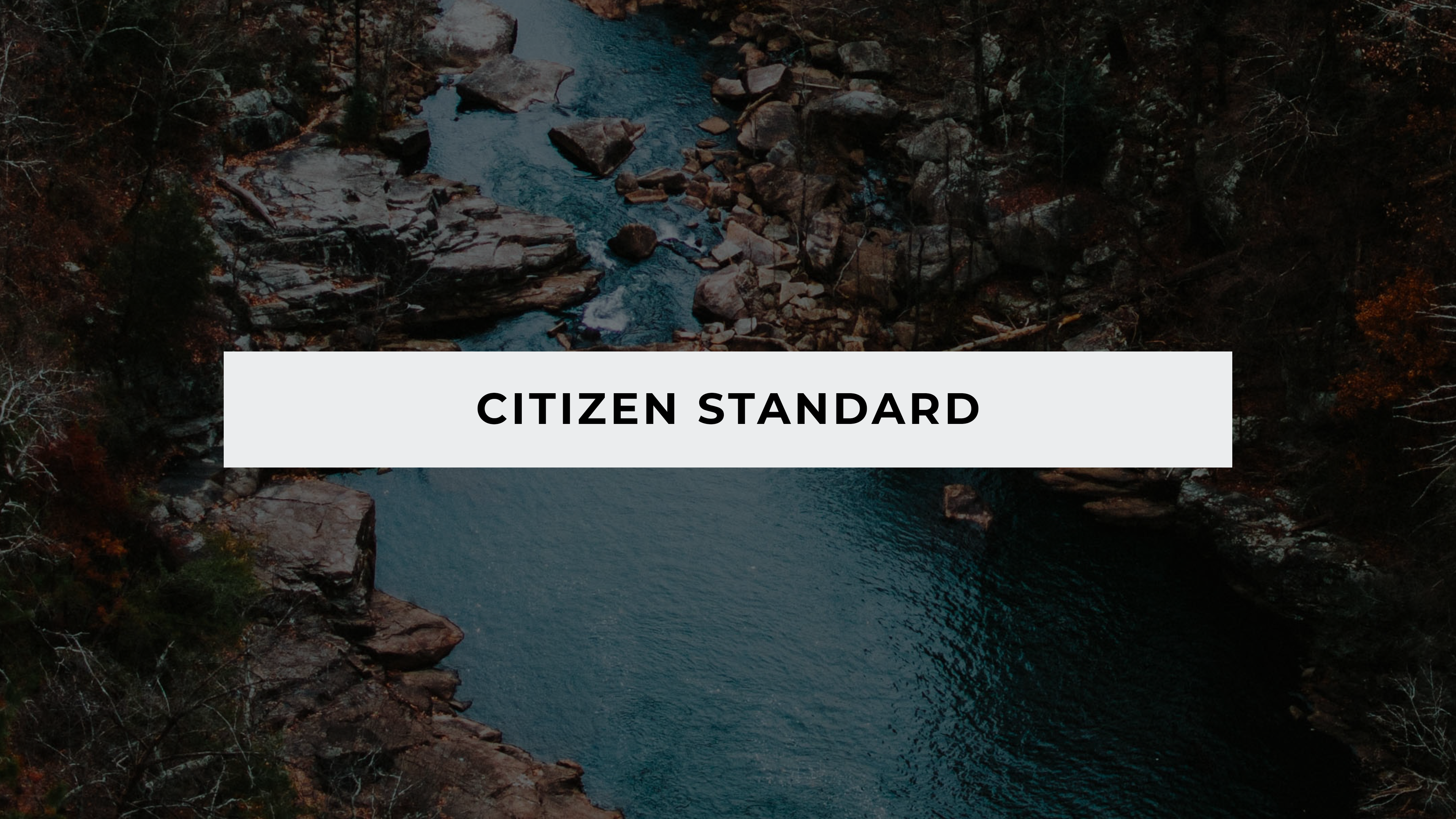 Citizen Standard