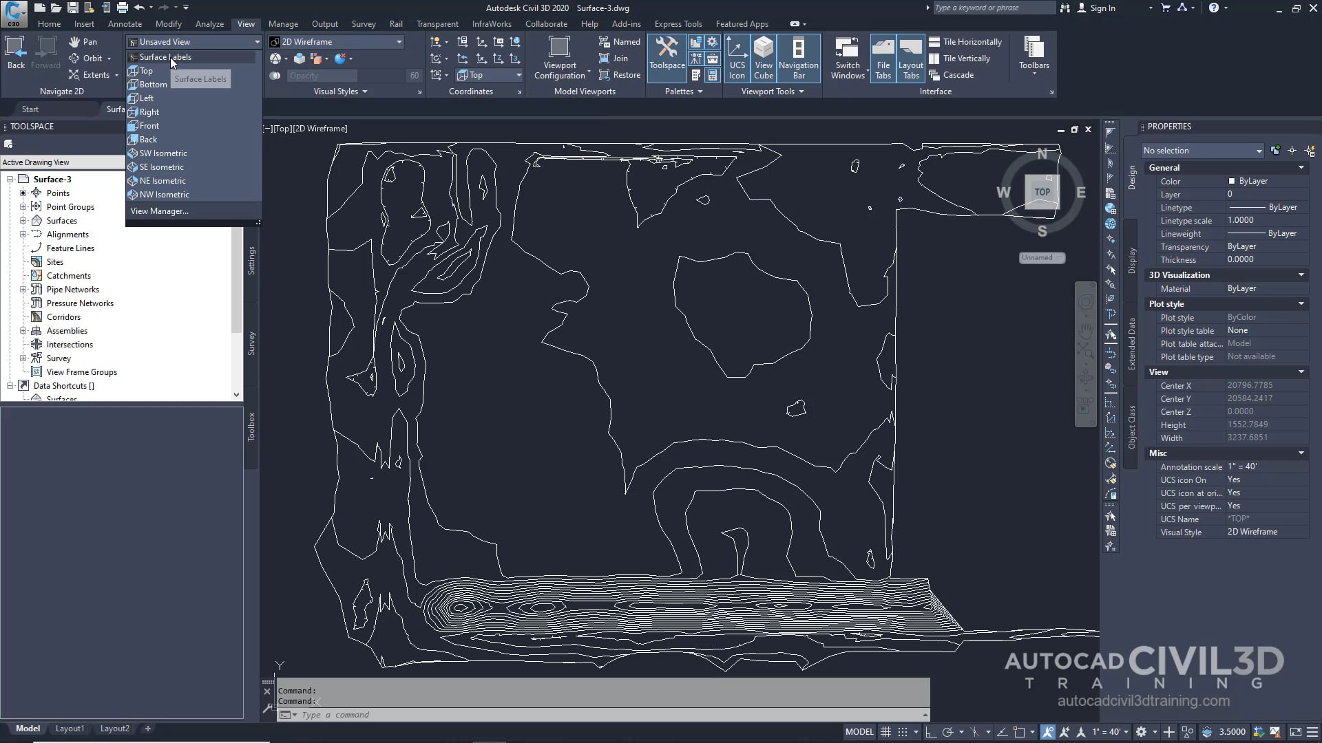 12 Labeling a Surface