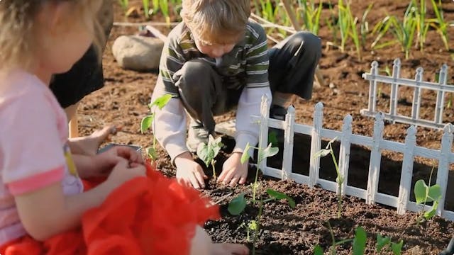 Class Dismissed - A Film About Learning Outside of the Classroom