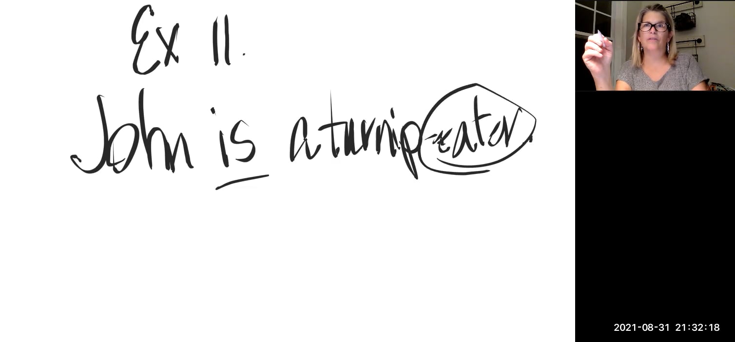 Introductory Logic Exercise 11