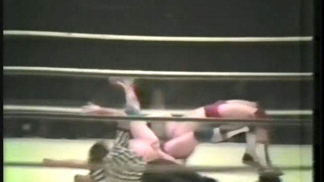 Harley Race Vs Ted Dibiase